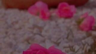 Iqwal zari