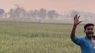 Funny videos ????????????