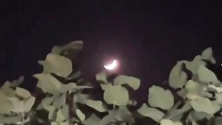 Poetry video