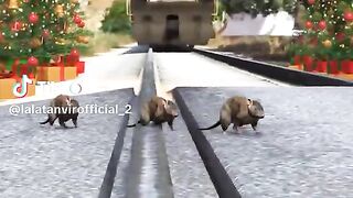 Video for seen every one