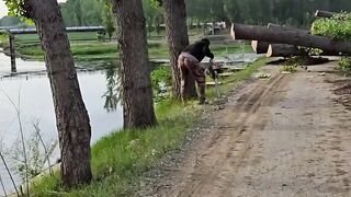 The process of logging along the roadside