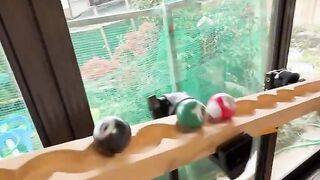 Wooden ball