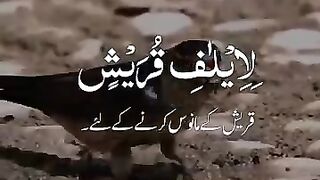 Islamic video
