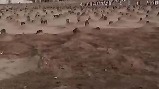 Islamic video