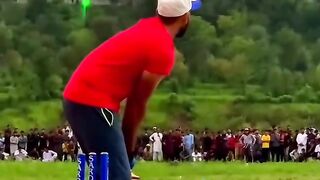 Cricket lover