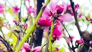 beautiful Gilgit