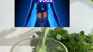 Recette naturelle pour un nettoyage en profondeur des reins