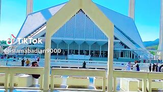Seen video every one
