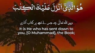 Umair jutt