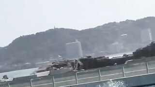 Unbelievable Dolphin show part 2 You've never seen before