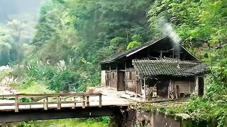 Forest Village