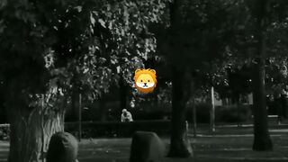 Uipkj