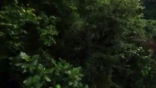 Beautiful Nature