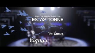 Estas Tonne - The Essence (Cignus Remix)