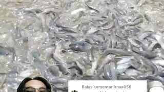 Berapa lama masa expired produk BluCore (Maxoil-Probiomax)