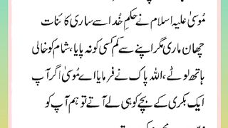 Shariat Ke Masail Seekhain