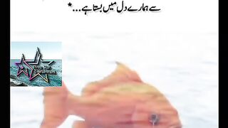 The fish said to the sea: