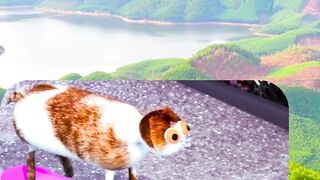 Funny skating