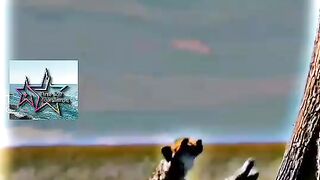 Not despair, but liveliness.