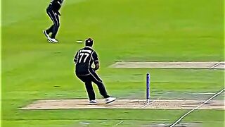 very nice tharo