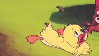 Jarry & duck child sweeming