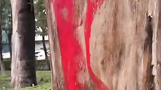 a very nice art video. beautiful art video 2025.__artist _art _ad _artgallery