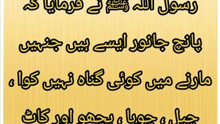 Rasulullah Sallallahu Alaihi Wasllam Ne Farmaya