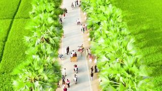 প্রাকৃতিক সৌন্দর্য