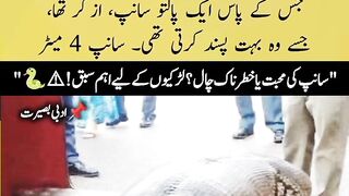 Nature of snake ????