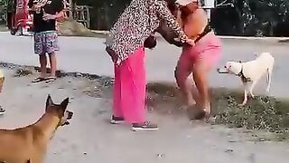 Girl fight viral video of the day