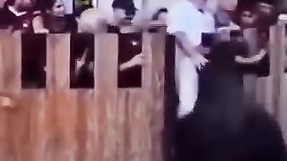Man animal birds dangerous video