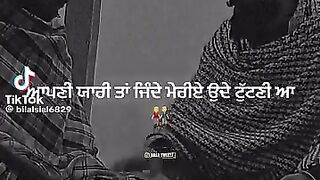Attitude level