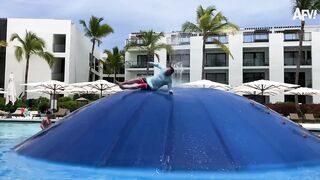 Funniest viral video