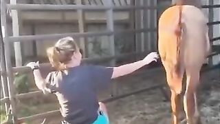 Dangerous animal video of the day