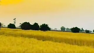 Village view