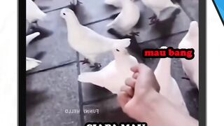 Manusia Sialan!!!
