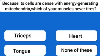 General Knowledge Quiz