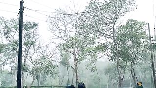 শেষ অধ্যায়