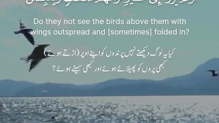 Surat-u-mulk