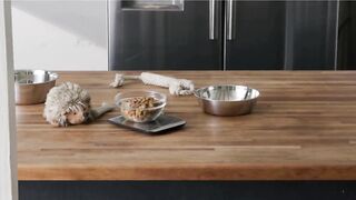 Effortless Weighing, Precise Cooking!