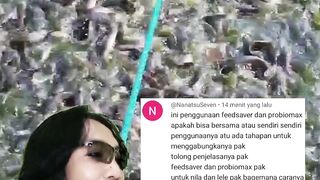 Penggunaan FeedSaver dan Probiomax apakah boleh dicampur atau tidak