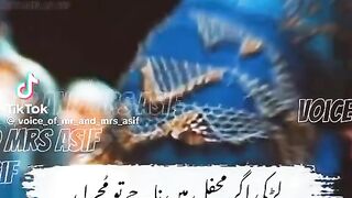New  video comment your video