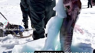 You will be shock what they found in Northpole