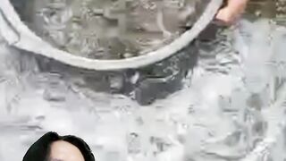 Kapan SORTIR lele❗Begini cara menetukan waktu sortir ikan lele