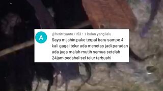 Pemijahan lele GAGAL (Telur tidak menetas) Ternyata ini penyebabnya