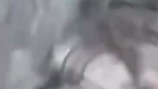 Viral videos