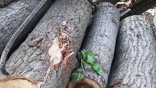 The process of wood hoisting and unloading