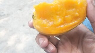 Mango ????