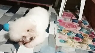 Happy Playing