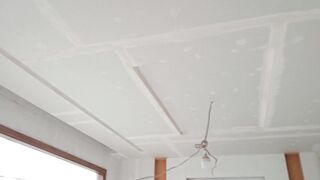 Gypsum board